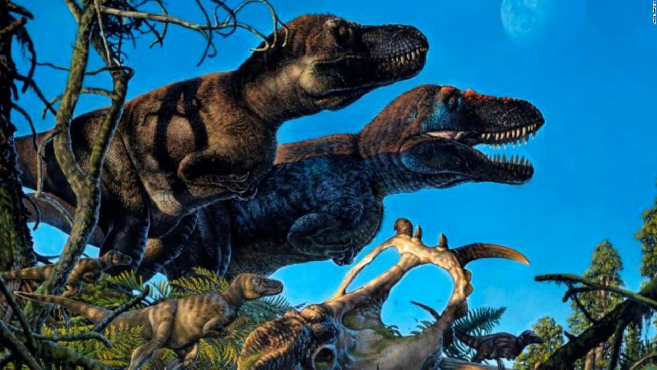 CNNE 1020925 - evidencian que dinosaurios pudieron vivir en el artico