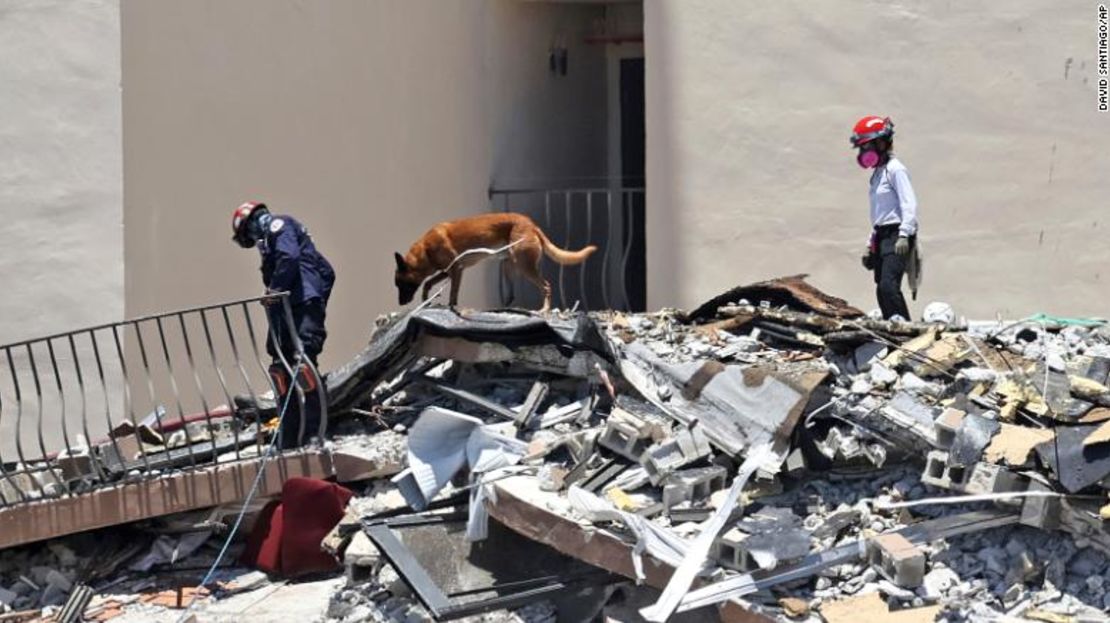 Personal de búsqueda y rescate busca sobrevivientes entre los escombros con sus perros en Champlain Towers South en Surfside, Florida, el domingo 27 de junio de 2021.