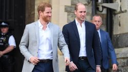 CNNE 1023897 - el reencuentro entre los principes harry y william