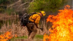 CNNE 1023908 - ola de calor- expertos senalan al cambio climatico