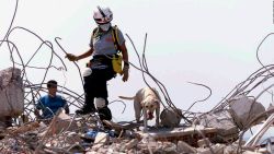 CNNE 1025166 - se han buscado mascotas en el derrumbe de miami