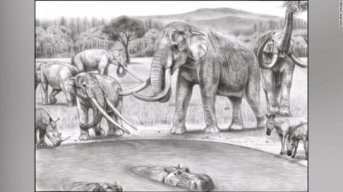 Esta imagen ilustra el norte de Italia hace 2 millones de años. Los mamuts del sur primitivos, Mammuthus meridionalis (a la derecha), compartían su abrevadero con el mastodonte Anancus arvernensis.