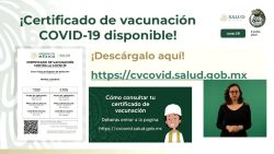 CNNE 1027166 - ¿que incluira el certificado de vacunacion de mexico?