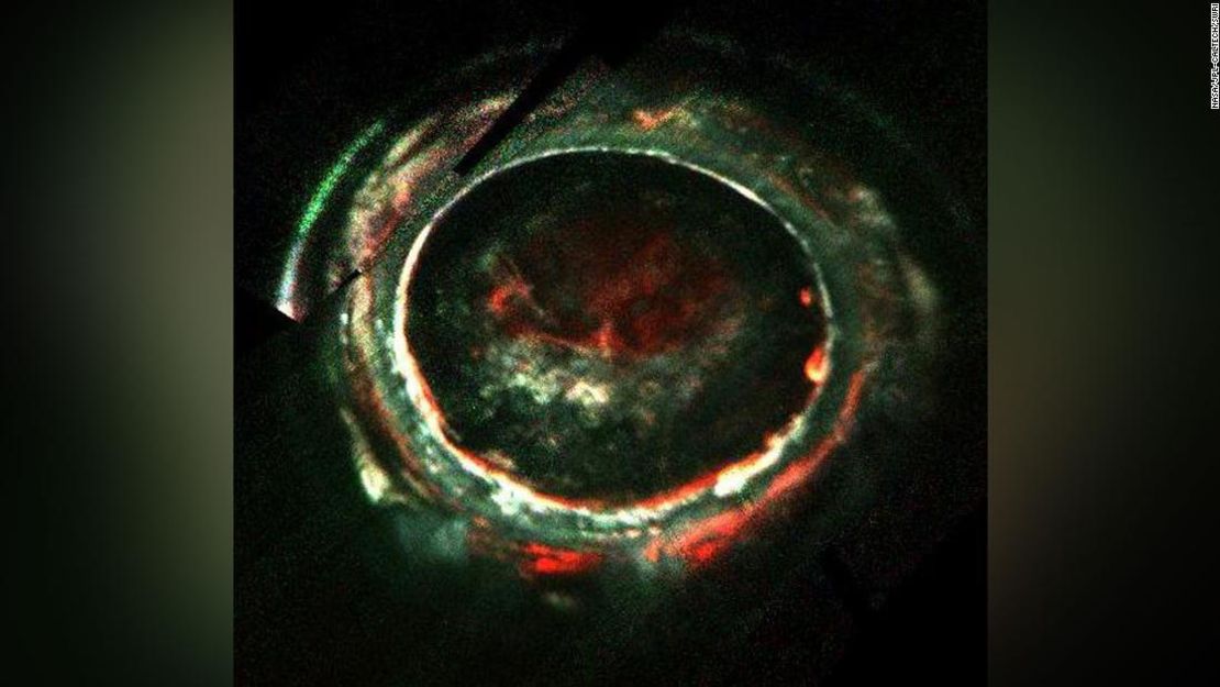 Esta imagen, creada con datos del Espectrómetro de Imágenes Ultravioletas de Juno, marca la trayectoria de las lecturas de Juno de las auroras de Júpiter.