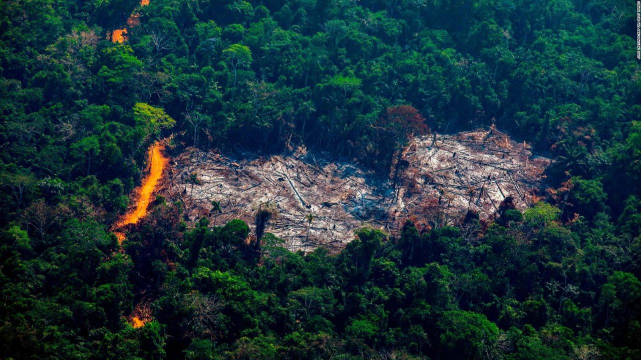 CNNE 1032229 - alertan por emisiones de carbono en el amazonas