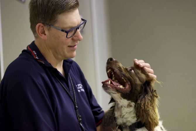 Floki es un perro australiano que recibió entrenamiento y podría detectar el virus del covid-19.