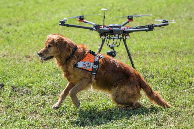 Capo pertenece a Redog, una asociación Suiza que combina el uso de perros y drones para las tareas de rescate.