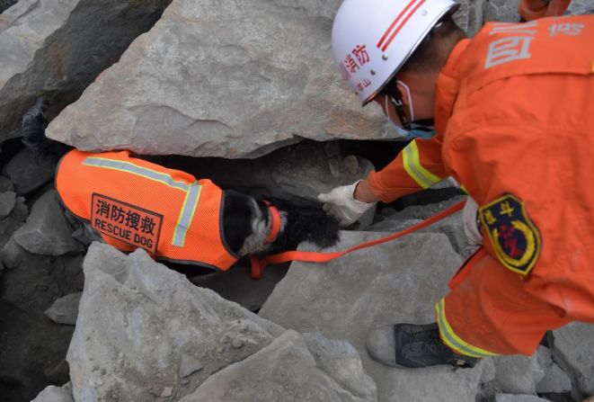 Este perrito ayudó en las tareas de rescate de personas desaparecidas tras un deslizamiento de tierra en un pueblo de China en junio de 2017.