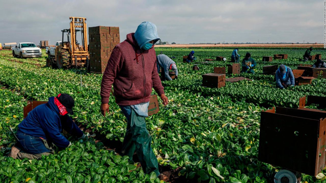 CNNE 1035801 - un trabajador en ee-uu- gana 16 veces mas que en mexico