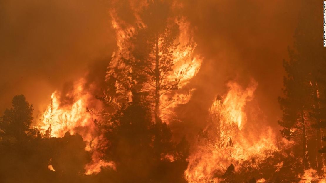 Los árboles arden a lo largo de la carretera 89 durante el incendio de Tamarack en la ciudad californiana de Markleeville el 17 de julio.