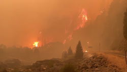 CNNE 1038425 - ya son mas de 85 los incendios forestales en ee-uu-