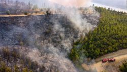 CNNE 1041449 - devastadores incendios en turquia dejan varios muertos