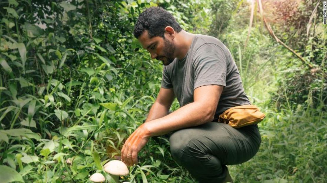 Pacheco dice que se basa en los conocimientos locales e indígenas para crear un medio de producción de alimentos que beneficie al planeta.