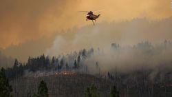 CNNE 1042219 - no ceden los incendios forestales en ee-uu-