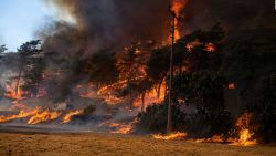 CNNE 1046529 - 5 claves de la crisis climatica en el informe de la onu