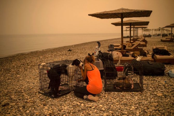 Una mujer atiende a un perro rescatado del incendio en la playa Pefki, en la isla de Evia.