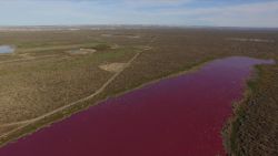 CNNE 1047319 - increible- una laguna se tine de rosa en argentina