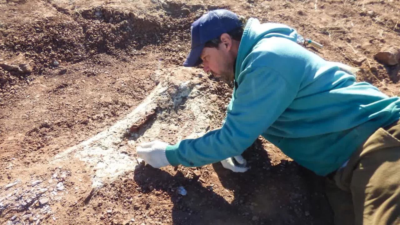 CNNE 1047787 - restos fosiles de dinosaurio en argentina