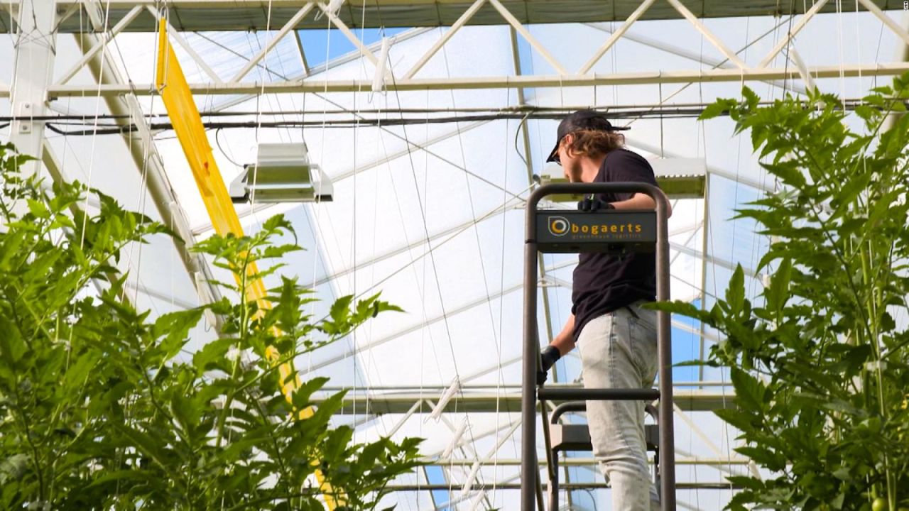 CNNE 1048342 - asi podria ser el futuro de la agricultura tecnologica