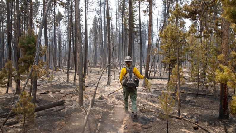 El bombero Brentt Call camina a través de un área quemada del Bootleg cerca de Klamath Falls, Oregon, el 27 de julio. Foto de Chris Pietsch / The Register-Guard / USA Today Network