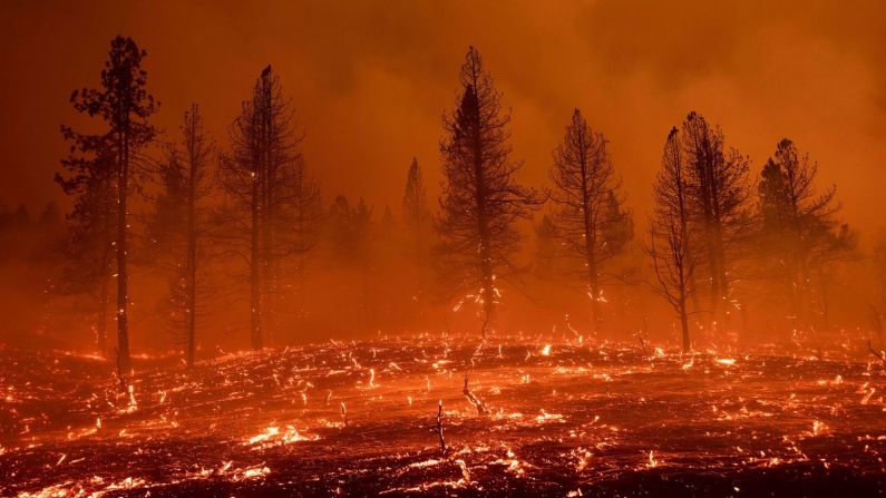 Las brasas soplan a través de un campo mientras el incendio Sugar arde en Doyle, California, el 9 de julio. Foto de Noah Berger / AP