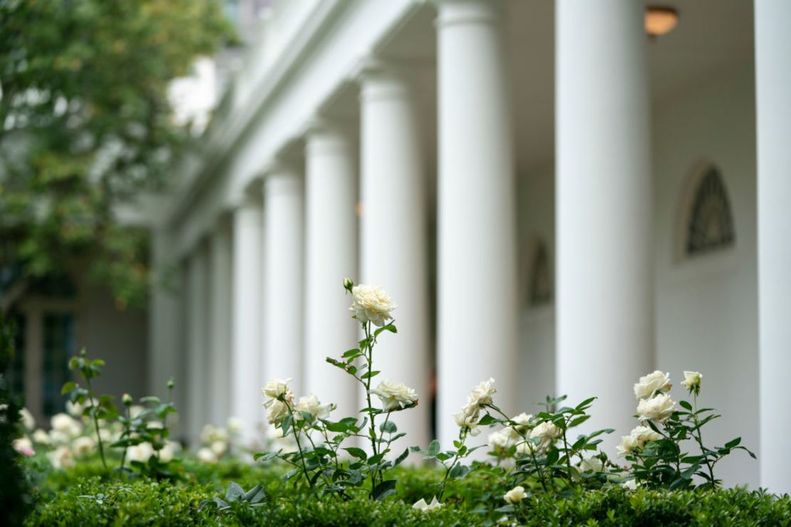 Una vista del recientemente renovado Rose Garden en la Casa Blanca el 22 de agosto de 2020 en Washington.