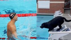 CNNE 1051171 - mira como nada la perra del campeon olimpico caeleb dressel