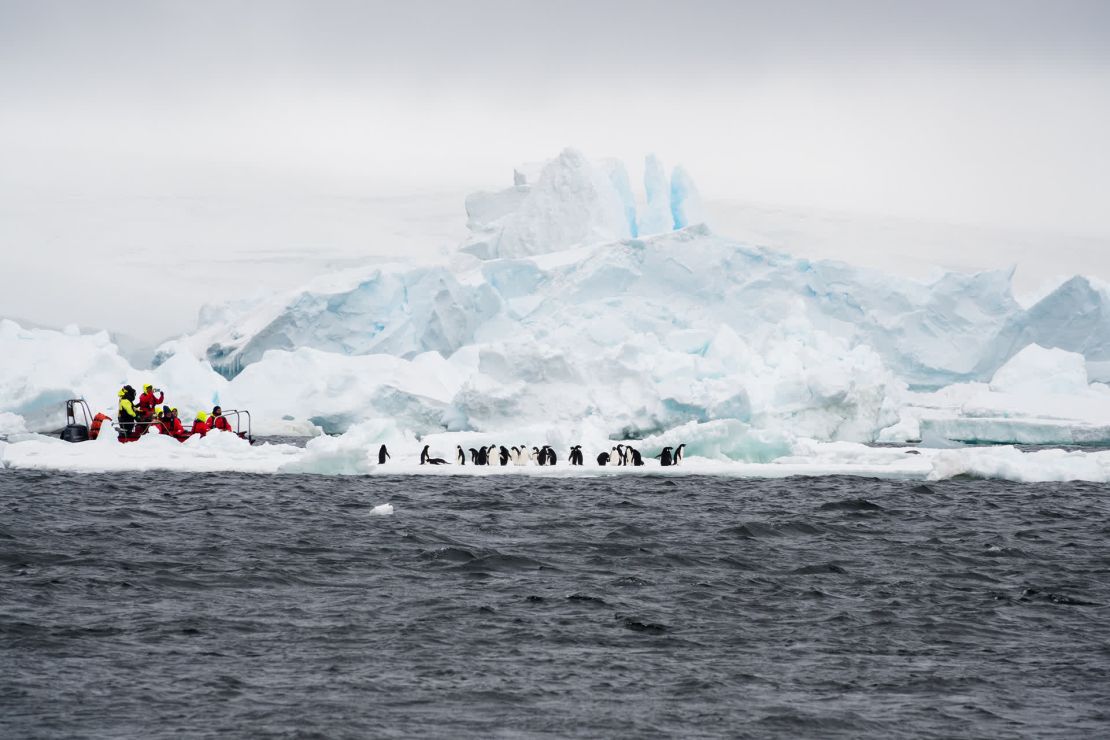 Los turistas tienen un encuentro cercano con los pingüinos Adelia en el estrecho de la Antártida.