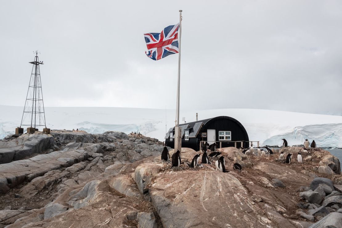 Los pingüinos se reúnen en Port Lockroy, una antigua base británica. Port Lockroy es ahora la sede de un museo y la oficina de correos más austral del mundo.