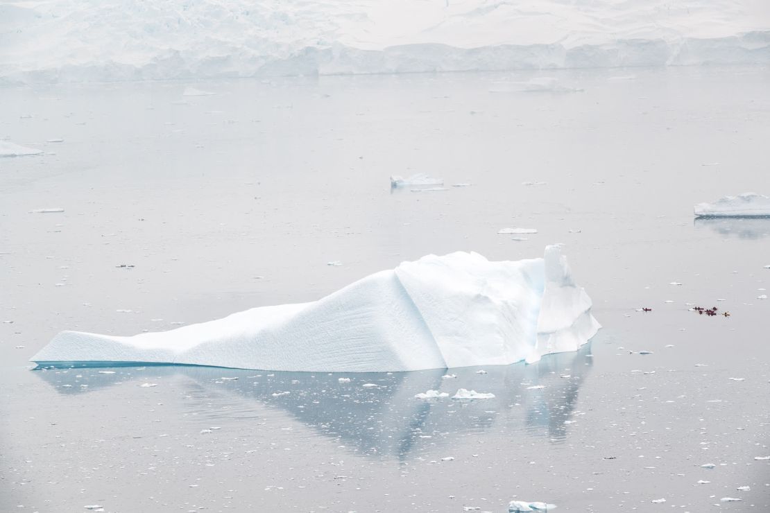 Los turistas se ven diminutos junto a la inmensa nieve y el hielo en el puerto de Neko.