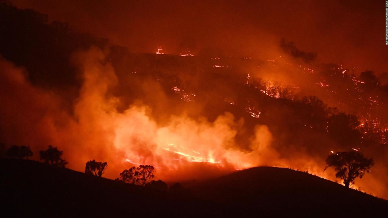 CNNE 1055613 - estudio advierte sobre impacto de incendios forestales