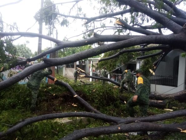 Elementos del Ejército mexicano ayudan con las labores de limpieza en Colima (otro de los estados afectados) tras la caída de árboles por el paso del huracán Nora.