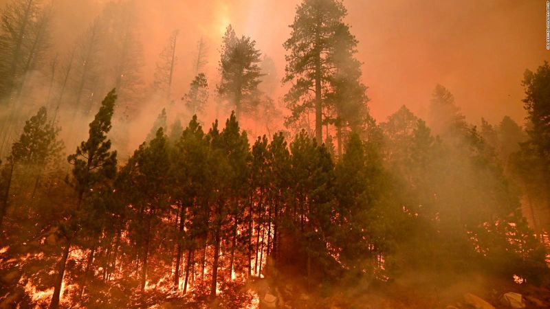 Desigualdad y cambio climático: ¿qué tienen en común estos dos grandes retos? | cnn