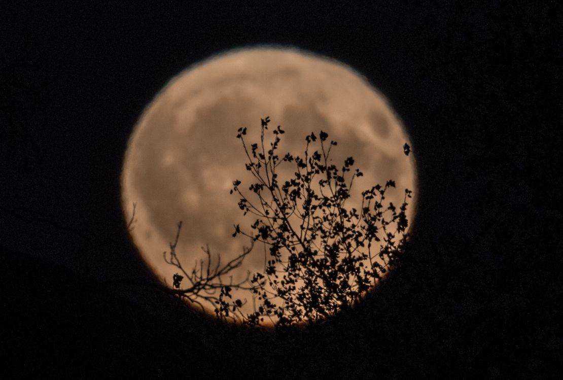 La luna llena de la cosecha se eleva sobre las ruinas de la iglesia de San Miguel, el monumento de Burrow Mump el 5 de octubre de 2017 en Somerset, Inglaterra.