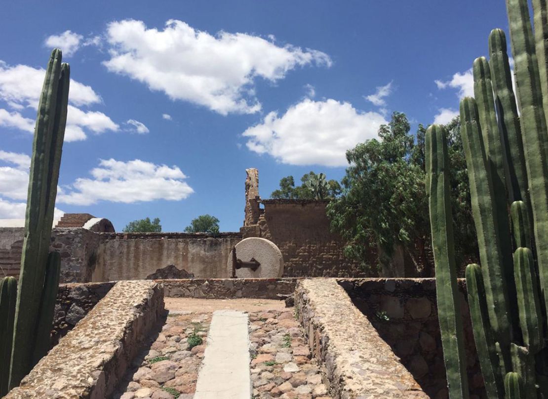 Además de la Ruta del Mezcal, en Guanajuato podrás disfrutar de la Ruta del Tequila, el Circuito del Nopal, entre otros. Crédito: Gobierno del Estado de Guanajuato