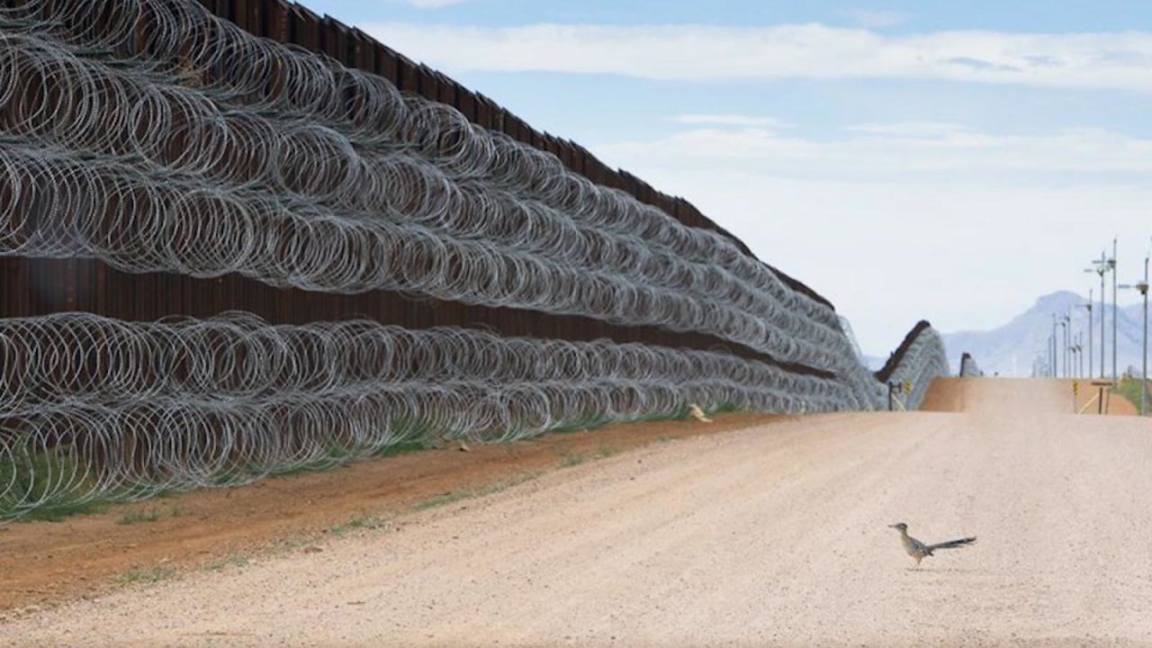 CNNE 1059470 - mexicano gana premio de foto por esta ave en la frontera