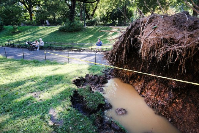 Un árbol caído en el Central Park, como consecuencia de las fuertes tormentas causadas por los remanentes del huracán Ida.