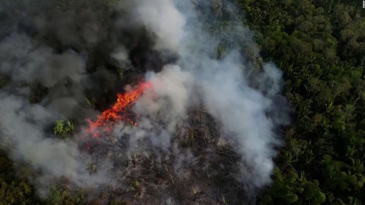 CNNE 1061785 - dramatico incendio forestal en la selva de la amazonia