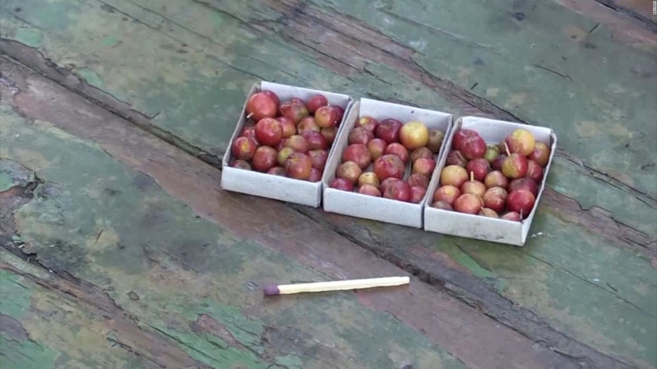 CNNE 1063225 - micromanzanas son cosechadas a temperaturas heladas