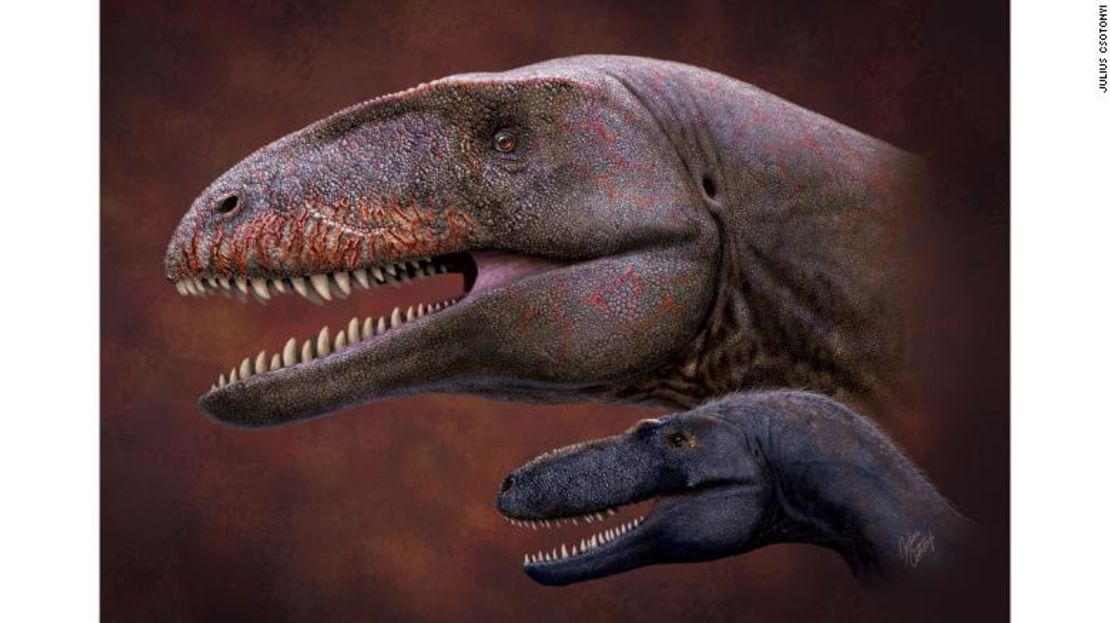 Ulughbegsaurus habría compartido su mundo con una pequeña especie de tiranosaurio llamada Timurlengia, que se muestra en esta ilustración.