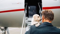 CNNE 1066784 - ¿por que mas viajeros llevan a mascotas en jets privados?