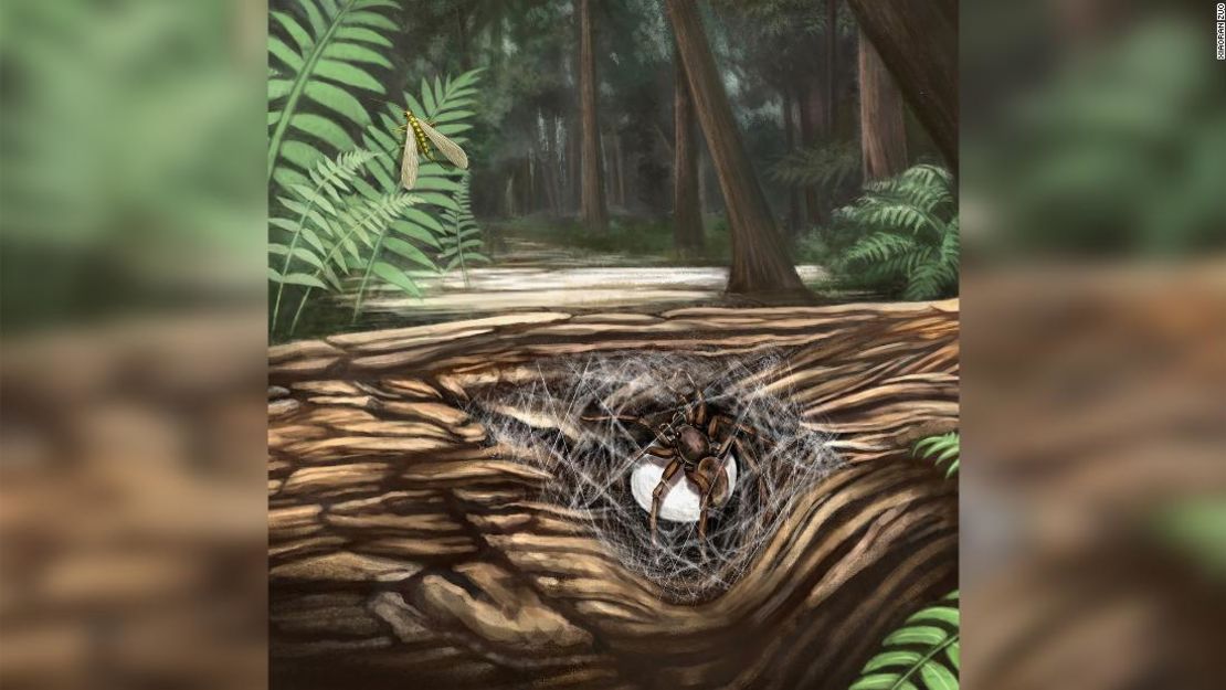 Esta ilustración muestra una araña lagonomegopide hembra que protege su saco de huevos en un bosque del Cretácico.