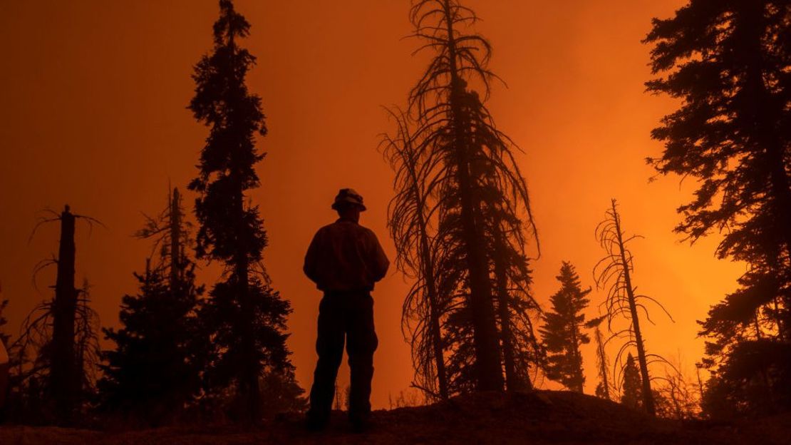 Un bombero vigila el avance de las llamas a lo largo de la Western Divide Highway durante el incendio SQF Complex del año pasado. La imagen es del 14 de septiembre de 2020 cerca de Camp Nelson, California.