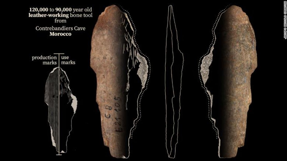 Una herramienta de hueso de la cueva de Contrebandiers (Marruecos) que se utilizaba para trabajar el cuero hace entre 120.000 y 90.000 años.