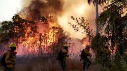 CNNE 1069179 - las preocupantes consecuencias de los incendios en bolivia