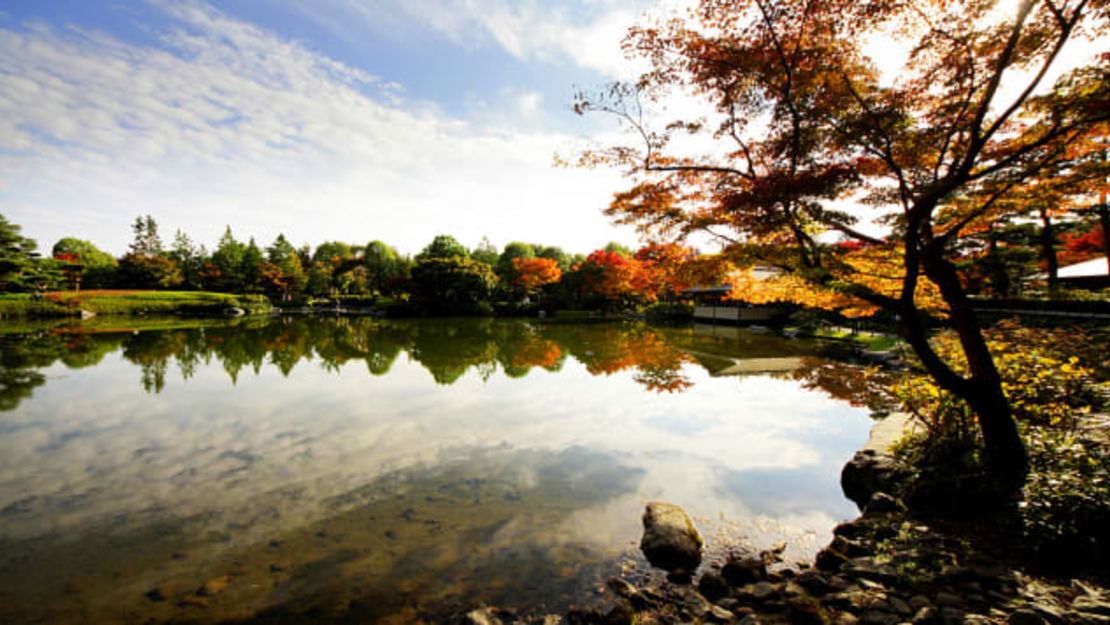 Las hojas de otoño montaron un espectáculo en Showa Kinen Park en Tokio.