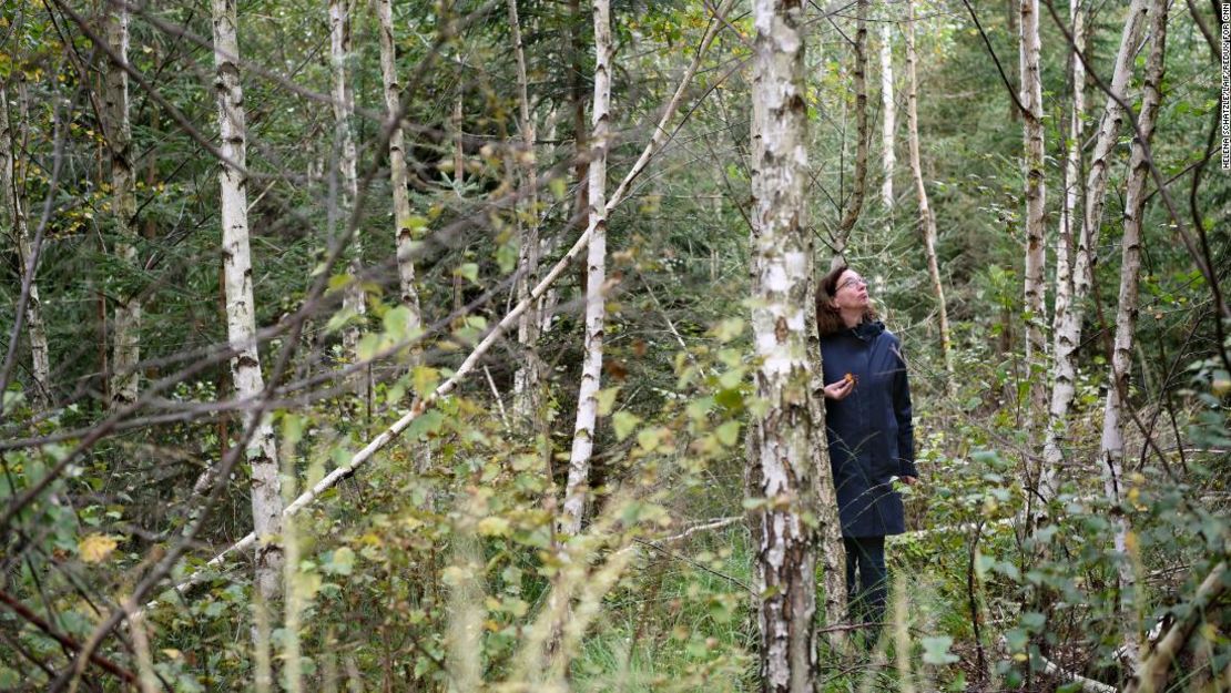 Kristina Kuethe, pareja de Peter Meyer, se encuentra en un bosque rejuvenecido.