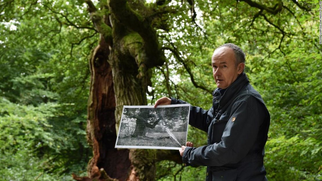 Meyer muestra una foto tomada hace unos 100 años del roble que tiene detrás.