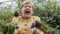 CNNE 1072177 - mira a angela merkel alimentando a unos pajaros