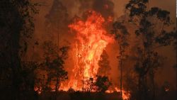 CNNE 1072883 - crisis climatica- ¿como va la lucha en america latina?